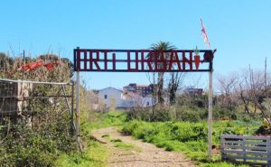 Comitato e Asia Usb in difesa degli orti urbani organizzano un presidio davanti al Comune