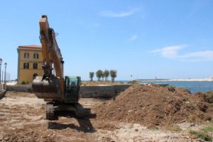 Rimozione cumuli di Posidonia allo Scoglio della Regina, WWF: difendono dall'erosione e contengono anche microfauna anche rara