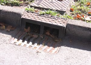 "Rete fognaria obsoleta" a Cecina, "bene disponibilità di ASA, ora servono risposte strutturali"