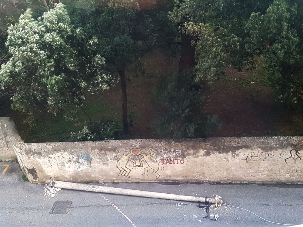 Maltempo - Albero e palo della luce abbattuti dal vento