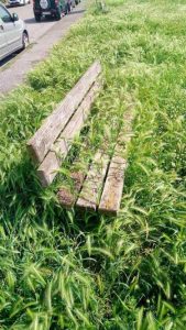 erba alta via francia (2)