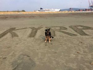 Statua di Kyra e giochi inclusivi, c'è l'ufficialità