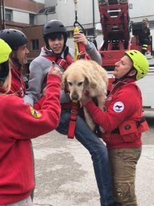 Disabilità, riconoscimento Colombo per l’attività con i cani da salvataggio