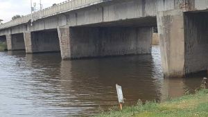 collesalvetti ponte sullo scolmatore (1)