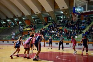 LivornoPress Jolly Acli Basket 10-20