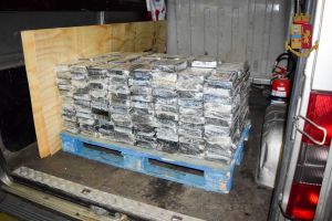 LivornoPress sequestro 300 chilli droga in porto