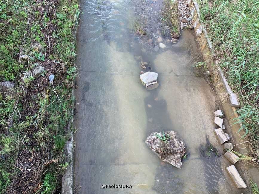 Rio Maggiore a Salviano, cemento e calcinacci nell'alveo