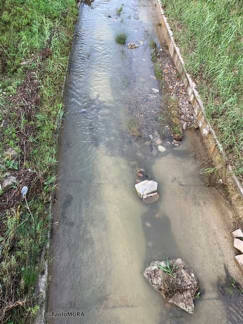 Rio Maggiore a Salviano, cemento e calcinacci nell'alveo