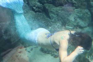 Nella vasca dell'acquario nuota una sirena. Le evoluzioni di Federica Tommasi