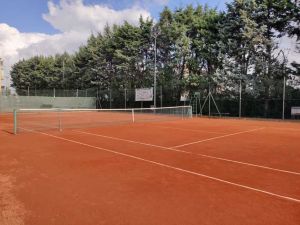 Tennis Amaranto