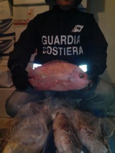 guardia costiera sequestro prodotti ittici