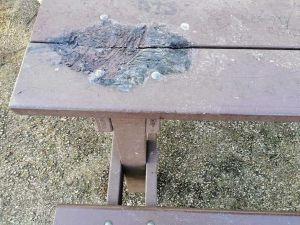 Collesalvetti parco giochi inclusivo, appena aperto è già vandalizzato