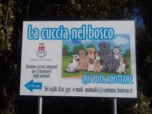 Domenica 1° dicembre open day al canile comunale “La cuccia nel bosco”