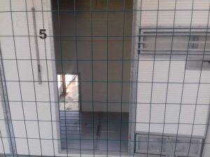 Inaugurato il nuovo canile comunale La cuccia nel Bosco