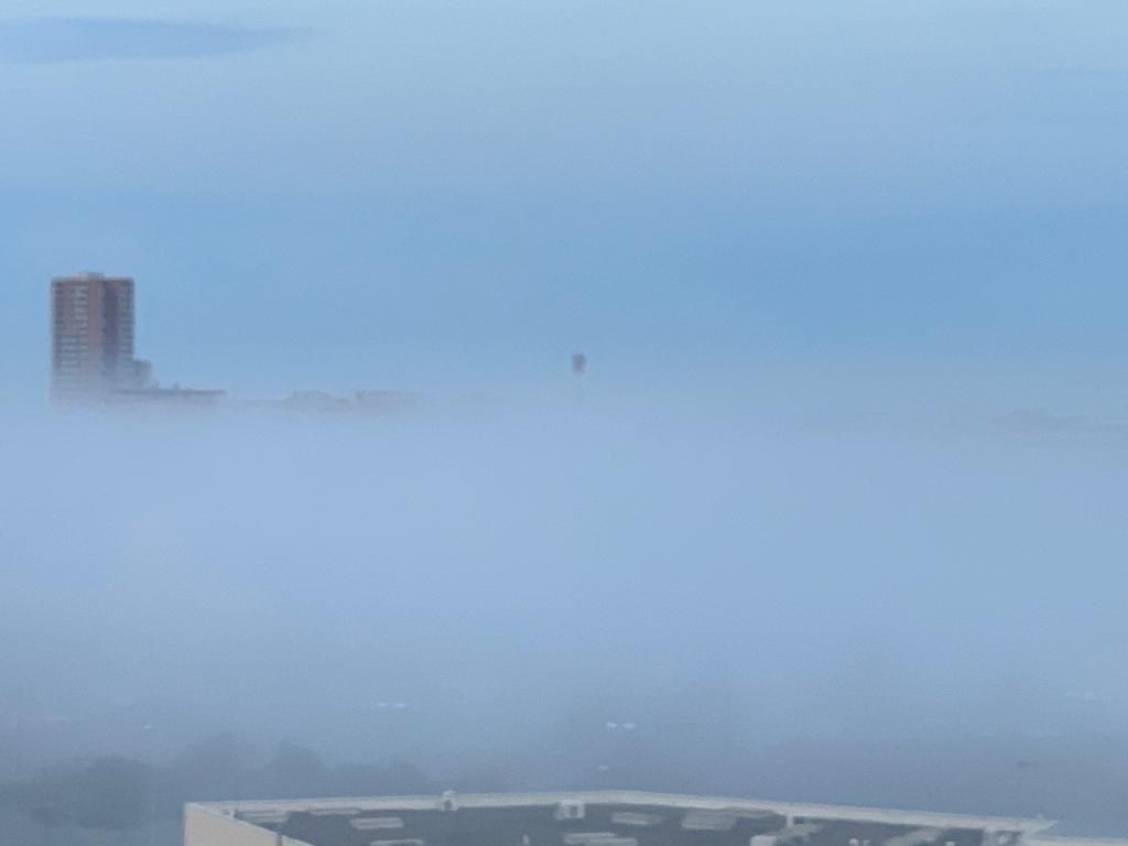 Livorno si risveglia nella nebbia