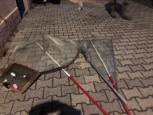 bracconaggio ittico. Multati due pescatori di cèe