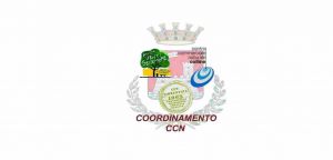 coordinamento_ccn_logo