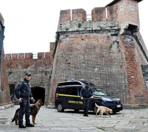 guardia di finanza cani antidroga 117