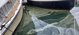 Chiazza sospetta nei fossi