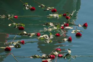 Oggi, 10 aprile 1991: Moby Prince, per non dimenticare (Video)