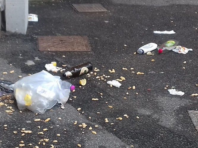 spazzatura e inciviltà in via dei Fulgidi