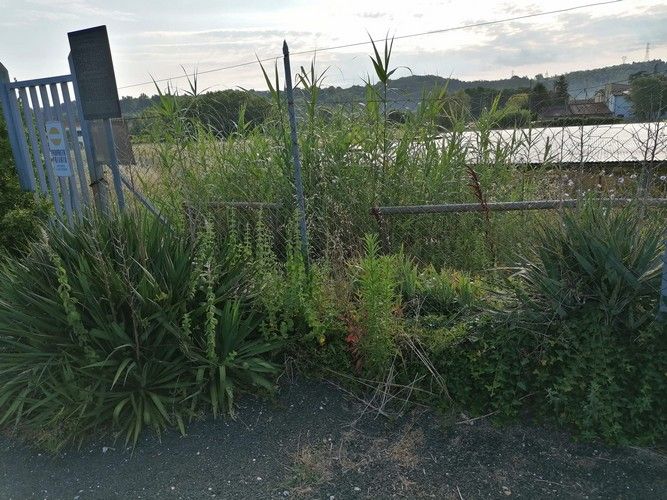Mansio Romana a Castell’Anselmo, Un degrado mai visto