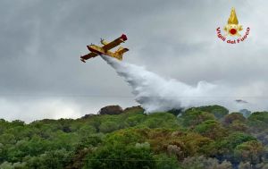 Incendio boschivo a Campiglia fiamme propagate alle colline, Intervengono anche elicotteri e canadair