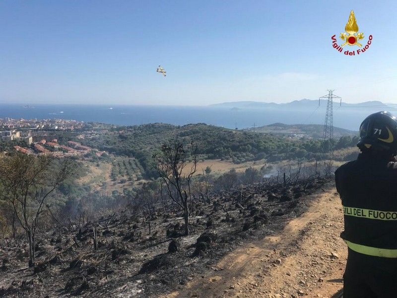 Incendio boschivo a Montemazzano