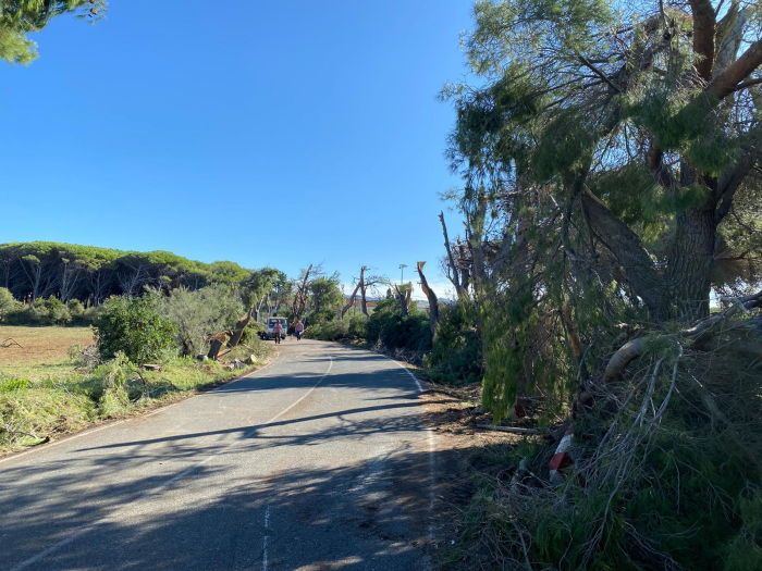 Rosignano, la drammatica situazione dopo la tromba d'aria