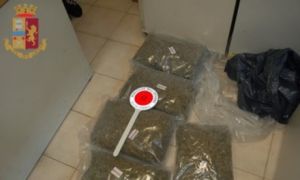 marijuana, arrestati