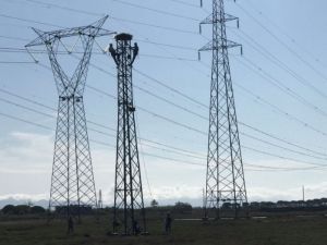 Piombino, tagliato un traliccio Enel per favorire la nidificazione del falco pescatore