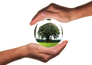 ambiente ecologia