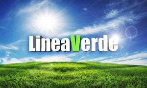 linea_verde_2013_logo