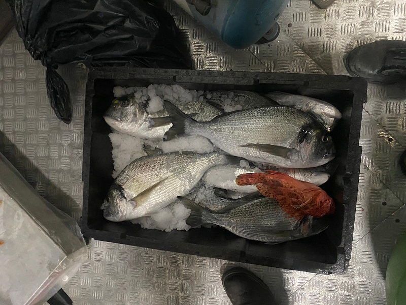 sequestro di orate 2