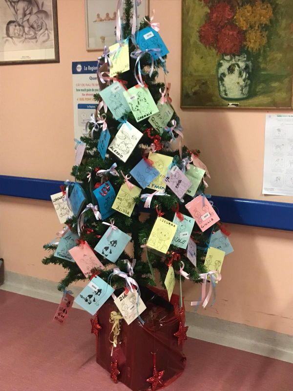 Cecina, nel materno-infantile l’albero dei “700 Natali”
