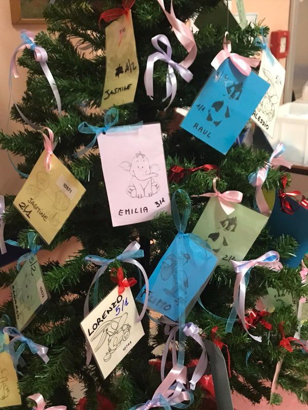 Cecina, nel materno-infantile l’albero dei “700 Natali”