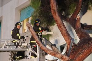 Maltempo Livorno, un pino si abbatte su un condominio (Foto e Video)