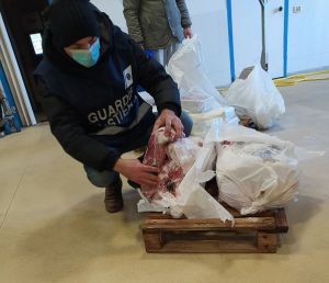 Operazione “FRONTIERE TRACCIABILI”. Sequestrate 3 tonnellate di prodotti ittici