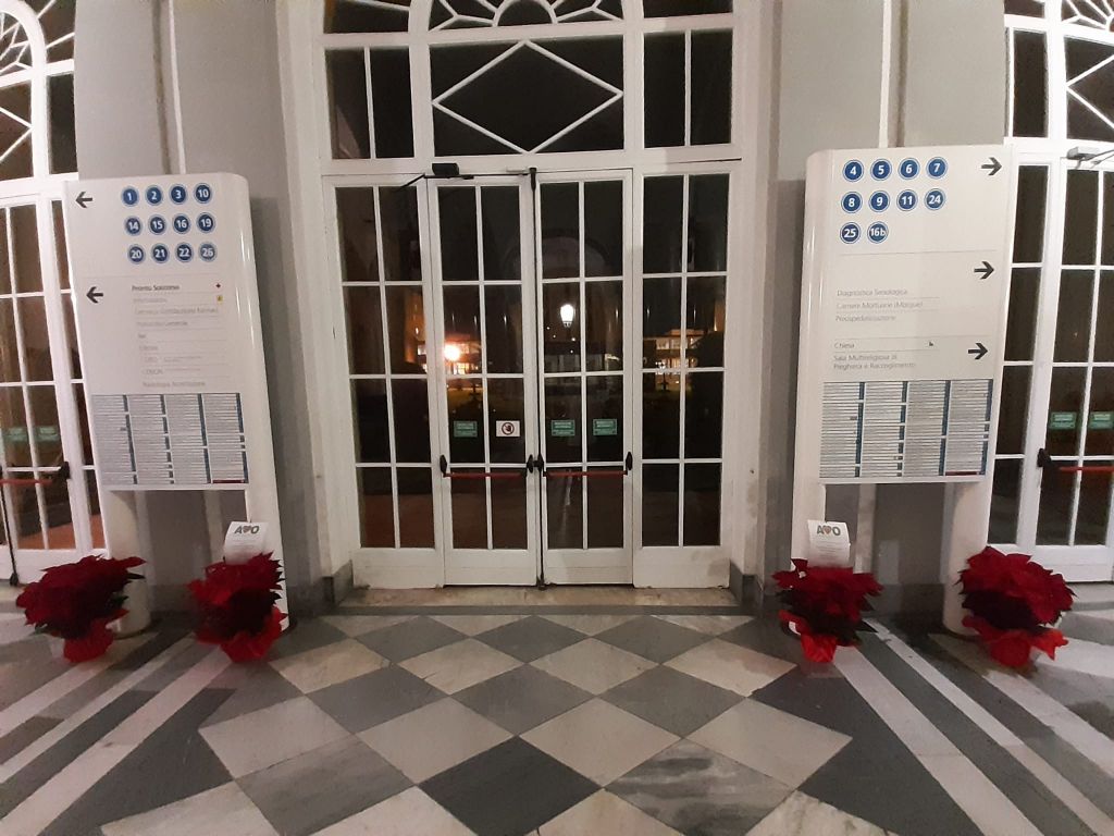 Ospedale, ecco le Stelle di Natale donate dall’Associazione Volontari Ospedalieri