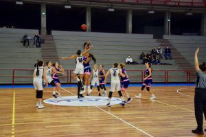 jolly acli basket 20-21