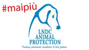 lndc animal protection