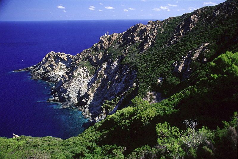 Gorgona, la costa, foto archivio PNAT