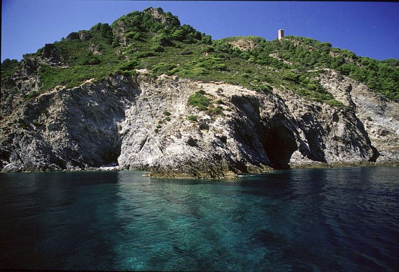 Gorgona dal mare. Foto archivio PNAT