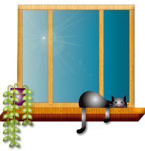 gatto_finestra_pixabay_foto_di_annalise_batista