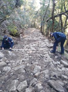 Elba lavori difformi nel Parco Nazionale, denunciate due persone Carabinieri Forestali