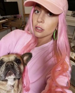 Rapiti i cani di Lady Gaga, ferito dog sitter.  Taglia di 500mila dollari