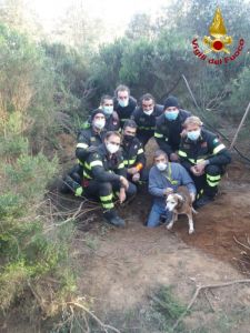 Cane intrappolato in una buca salvato dai vigili del fuoco