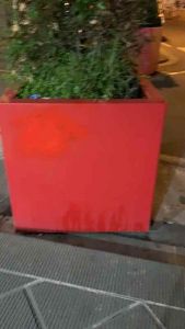 Cencellati i simboli comunisti dalle fioriere di via Ricasoli, il video della cancellazione 