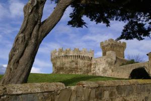 ADSI.Livorno_Castello di Populonia_albero