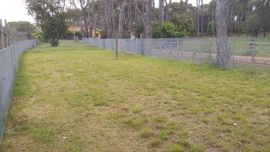 La nuova area sgambatura cani a villa Corridi
